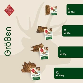 ChronoBalance Kaugeweih Damhirsch (M) 2er Paket 6 ChronoBalance Kaugeweih Damhirsch (M) 2er Paket – Bild 4