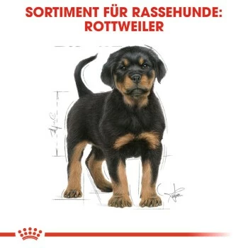 ROYAL CANIN Rottweiler Puppy 12 Kg 4 ROYAL CANIN Rottweiler Puppy 12 Kg – Bild 2