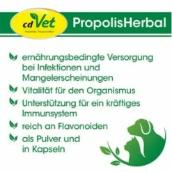 CdVet PropolisHerbal 20g 20 G -FRESSNAPF Geschäfte 4a7efe6ef39282013962edb4cdfff7ab064f50b7 1410702 de DE 9b563d2bb5da29720c09af2146e96e196b550558zVf5j7