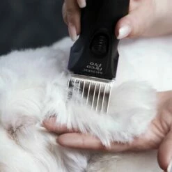 Moser Schermaschine Arco Pro -FRESSNAPF Geschäfte 4a8923d4e135d6dcdc4b5babae8a3f589e005869 01419b78963226934274d63a024e8d91d3673041