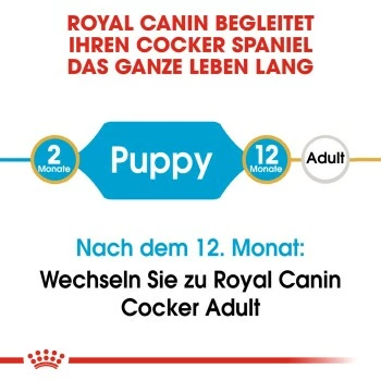 ROYAL CANIN Cocker Puppy 3kg 9 ROYAL CANIN Cocker Puppy 3kg – Bild 7