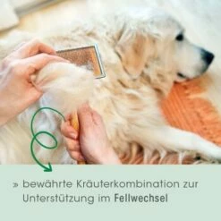 Fell & Haut Vital 150 G -FRESSNAPF Geschäfte 4b5f7de965eae94531d5560734f33444a0071a93 1049905 de DE 2d1bc3a540575105062fbc54df85eb515b459321CnG7ce