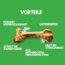 Irish Pure Giant Beef Bone 8 Irish Pure Giant Beef Bone -FRESSNAPF Geschäfte 4d4fa3e51f5eba9dee5c6d548397f1165265d5f0 1288899 de DE 31340ea7fffb1e1bff4f23a195943f7255dbb495GgNMBw