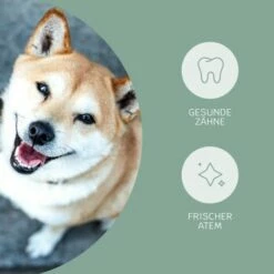 Mammaly Fresh Smile 110g 15 Mammaly Fresh Smile 110g -FRESSNAPF Geschäfte 4dfc3b5d73dfa91add91c3411ca4723de71754ed 1472885 3