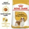 ROYAL CANIN Cavalier King Charles Adult 7,5 Kg 1 ROYAL CANIN Cavalier King Charles Adult 7,5 Kg -FRESSNAPF Geschäfte 4eff16e8593dc9d63fcf3f9ffaa5cffe076cc3c6 d0264a712bff8def979cbb5123cf013f72553207