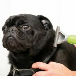 Moser Unterwollkamm -FRESSNAPF Geschäfte 4f9de70641d8a9385dbbc67be8ff3030b6fe8e4b ad8e2aa3fba89d15b3cb3029ec2051cc5481478e