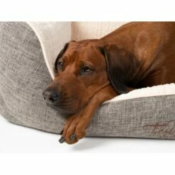 TrendPet VitaBed Classic Orthopädisches Hundebett Beige S -FRESSNAPF Geschäfte 511b68096bbf532231828b40ab831c7d5e238405 1312262 de DE d087175c77247582ce551ccb50e0904be36ed9ccuHmQzS