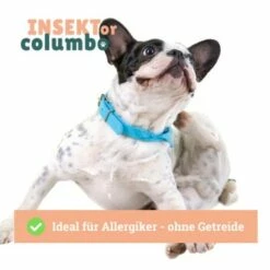 BeG Buddy Trockenfutter Insekten, Hypoallergenes Insektenfutter - Sensitive 4 Kg -FRESSNAPF Geschäfte 519a458e80717dfef53f62500e2bfaca88b83030 1457248 de DE 4e178ddbc2b2fdbf0c31f82dc0c4f17ba0e1886aEkeJ0K