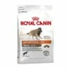 ROYAL CANIN ENERGY 4300 (TRAIL) 15kg -FRESSNAPF Geschäfte 51ce3668290aaf437cafd69efe009fed220d1a46 137a41285849c3a88bcc31f66d05e1f2724d1204