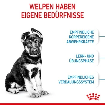 ROYAL CANIN Maxi Puppy 10x140g 7 ROYAL CANIN Maxi Puppy 10x140g – Bild 5