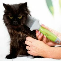 Moser Flexible Zupfbürste - Zweiseitig -FRESSNAPF Geschäfte 5298bc713bcd66abe43731ff2e314a27161b2f69 d9795d44712d5c401af76f1f1e368e22dae7c031