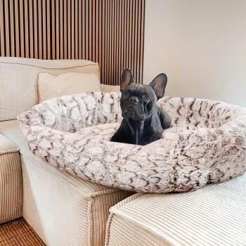 Wallace & Jones Hundebett Cordo-Heaven S 4 Wallace & Jones Hundebett Cordo-Heaven S – Bild 2