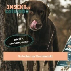 BeG Buddy Trockenfutter Insekten, Hypoallergenes Insektenfutter - Sensitive 4 Kg -FRESSNAPF Geschäfte 54e01906aa9de056ad2a9574a1c4270899f1b9f0 1457248 de DE a7b2e0a08ffde87f19ce4820500c56d453115ca7vC1c1K