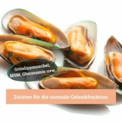 BeG Buddy Gelenk Fit Tabletten -FRESSNAPF Geschäfte 55a2d788a1e30438f043249587224bd229af5240 1457251 de DE 02980b0a0583bd266a23311e125397a7c02d432aTa8dlo