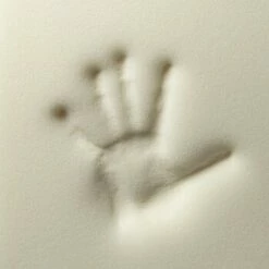 Rexproduct Otto Orthopädisches Hundebett Dunkelblau S-XL Dunkelgrün S -FRESSNAPF Geschäfte 570349f41587d31b10a65c2e1f7c454db29b39b9 1499832 de DE 4a05f204198aead29f7c6fcb2b828fd649f99213DTOwd2