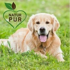 Fit-Crock Classic Lamm Maxi -FRESSNAPF Geschäfte 572aa89bc910e31893995e44aa05ef340fdfa24c 1687099 de DE f696ec27369198bd4394c88715b6b073e090c44aFcn83B