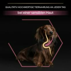 PRO PLAN Optiderma Small & Mini Adult Sensitive Skin 3 Kg -FRESSNAPF Geschäfte 583a4581180cd9257ec89c06604244bb36146ea4 1206421 3