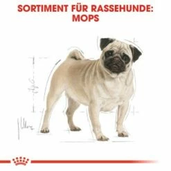 ROYAL CANIN Mops Adult 3 Kg 12 ROYAL CANIN Mops Adult 3 Kg -FRESSNAPF Geschäfte 589e30903e56ad792aa772c50bdee71a9cf194bc e4918d62ef4cc7e4fc1b441cbb18a65f4eacd496
