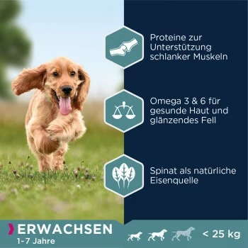 EUKANUBA Adult Small & Medium Breed Lachs 12kg 6 EUKANUBA Adult Small & Medium Breed Lachs 12kg – Bild 4