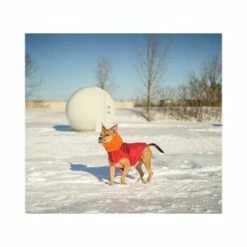 GF Pet Scout Jacke Rot XXS 9 GF Pet Scout Jacke Rot XXS -FRESSNAPF Geschäfte 5991967bf630a1f8d02726fdfd74663dc8e73701 0d63da1ea5654731f0cfde8666f379832b57508d