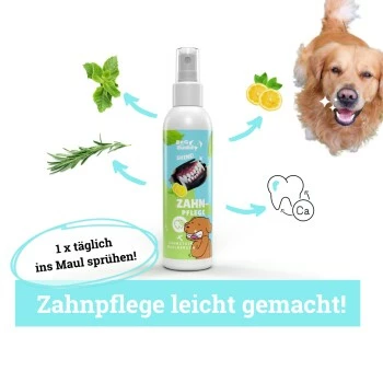 BeG Buddy Zahn Weiß Dental Spray, Zahnpflege & Maulhygiene Hund 4 BeG Buddy Zahn Weiß Dental Spray, Zahnpflege & Maulhygiene Hund – Bild 2