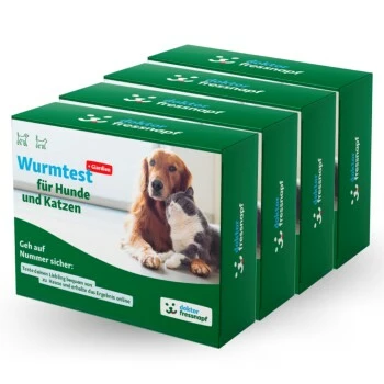 Dr. Fressnapf Wurm- & Giardientest Für Hunde Und Katzen 3+1 Gratis 3 Dr. Fressnapf Wurm- & Giardientest Für Hunde Und Katzen 3+1 Gratis
