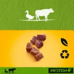 Pedigree Dose Protein+ In Pastete 12x800g Rind Mit Ente -FRESSNAPF Geschäfte 5bcfb7506934c392393531e7a2b33611110d2fcd 1394131 de DE pedigree 6