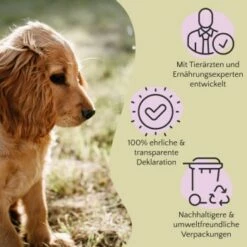 FAVLY Petfood PURE Bites Lamm 360 G -FRESSNAPF Geschäfte 5d7b6f7ff0cad3d69d8328aff31a8cc220780e0f 1474004 de DE cfc8e2f3174986d5e2d5f456c501da9d9b200fe9C0H0tH