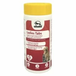 Fortan Ladies Tabs Mit Himbeerblätter-Extrakt 90 G