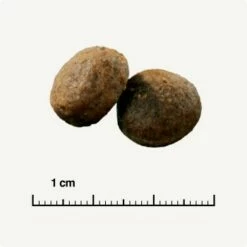 SELECT GOLD Sensitive Adult Maxi Lamm & Reis 4 Kg -FRESSNAPF Geschäfte 5ecaef2283d09cae98f0e7d2e361f17e4011fde6 1081889007 de DE 6