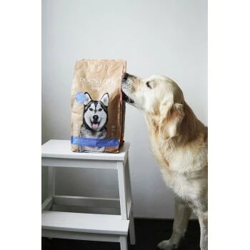 DOG'S LOVE Adult Lachs Mit Forelle 2 Kg 4 DOG'S LOVE Adult Lachs Mit Forelle 2 Kg – Bild 2