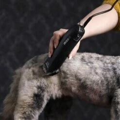 Moser Schermaschine Max 45 Inkl. ASK 10 Moser Schermaschine Max 45 Inkl. ASK -FRESSNAPF Geschäfte 65133088ba136d425f35dd483b34ae61c5e8b1c4 080d5e15fa2a49473a689925f30b8711ef011135