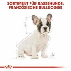 ROYAL CANIN Französische Bulldogge Puppy 10 Kg -FRESSNAPF Geschäfte 6533c1a96ca75c136f89ff9cc048ac3b0cef85da 285b59c4eb743c45432d7efc45498582cabbc6e9