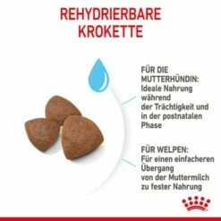 ROYAL CANIN Medium Starter 15 Kg 12 ROYAL CANIN Medium Starter 15 Kg -FRESSNAPF Geschäfte 6679a3b2bdb7a15a7a249f4fa1a6163b4dfd2e51 f6d1aa2f2e73ece1ddeaaf947b0214ea4e0e5123