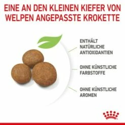 ROYAL CANIN Maxi Puppy 10x140g 15 ROYAL CANIN Maxi Puppy 10x140g -FRESSNAPF Geschäfte 6723f14d5672858ba8db8638c69d0eba948bb8dd 3182550402163 6