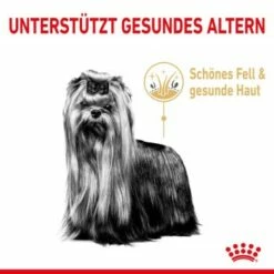 ROYAL CANIN Yorkshire Terrier 8+ Für ältere Hunde 1,5 Kg -FRESSNAPF Geschäfte 6820f5d1668861335aff838ca8d75b9ceca269c3 0b00c689a5c0f3d962d4b7472621f235a6da7ba2