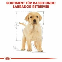 ROYAL CANIN Labrador Retriever Puppy 12 Kg -FRESSNAPF Geschäfte 686c892dd570ae8ec9147221ccd2e4feb5a4fe68 c0a3fdbed5796e52e3f09b24074eb594eee7df83