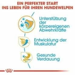 ROYAL CANIN Boxer Puppy 12 Kg 15 ROYAL CANIN Boxer Puppy 12 Kg -FRESSNAPF Geschäfte 688da358c7c13e34db44e38709f501f61e164dee b934048524a4df1f17cf77c3abbb472833d5297e