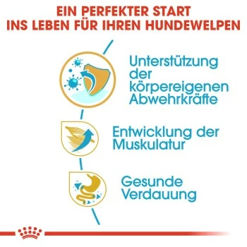 ROYAL CANIN Boxer Puppy 12 Kg 8 ROYAL CANIN Boxer Puppy 12 Kg – Bild 6