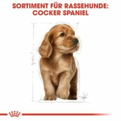 ROYAL CANIN Cocker Puppy 3kg 12 ROYAL CANIN Cocker Puppy 3kg -FRESSNAPF Geschäfte 68fdcc1bd44edabf0dacf16e4d550dc22a85ee95 b436ffccd3e8e5f8e1b88dd5cd77346c954d8d0e