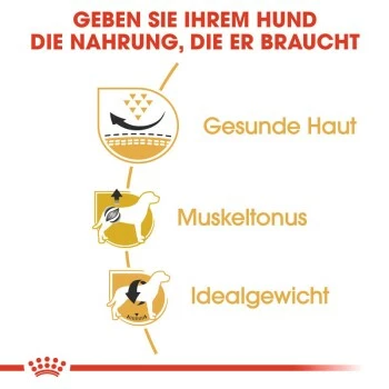 ROYAL CANIN Mops Adult 3 Kg 8 ROYAL CANIN Mops Adult 3 Kg – Bild 6