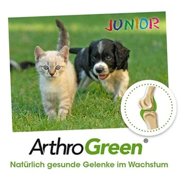 ArthroGreen Junior 25 G 5 ArthroGreen Junior 25 G – Bild 3