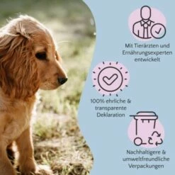 FAVLY Petfood Nature Cookies Pute 360 G -FRESSNAPF Geschäfte 6c9d1abe0a2c3e1ebe66676a84af974447985b3a 1474002 de DE 8376156006fe9b222994c99185dc131fb988c3c2LLZ2OM