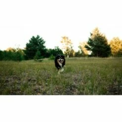 Mammaly Immu Push 110g -FRESSNAPF Geschäfte 6e1addc1ae263ee1f16a02c5ac24fd2a4aba0889 1472893 6