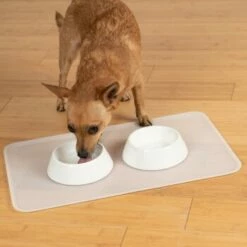 KaraLuna Basic Napfunterlage Transparent S -FRESSNAPF Geschäfte 6f92b46b9666870298738b4bee75a50ee534fac6 1407499 de DE 14497c23a79b7136237df13f9c32b5ed84fd5ff04vyZgl