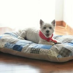 Aumüller Dinkelkissen S -FRESSNAPF Geschäfte 710c8a6a9faf50ecaba77a9a52beaeb74142007c a6fd00ef39e7c8447ef6bfccff96f443e2509cc1