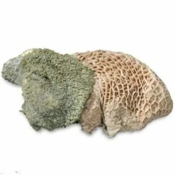 ProCani Buy Nature Pansen Grün 16x500 G -FRESSNAPF Geschäfte 71a8a83dd756fbb16781bf6cc22fc4476cf3d110 1408847 de DE Pansen Napf Aufsicht 2