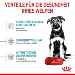 ROYAL CANIN Maxi Puppy 10x140g 11 ROYAL CANIN Maxi Puppy 10x140g -FRESSNAPF Geschäfte 726a99c8ae223a8a5713e5eebf41ef80f580fe60 3182550402163 5