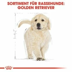 ROYAL CANIN Golden Retriever Puppy 12 Kg 20 ROYAL CANIN Golden Retriever Puppy 12 Kg -FRESSNAPF Geschäfte 73c01baa5617d8e4eefc140421f005671443a632 2410f5454822a7466dc6948215a65959073407bf