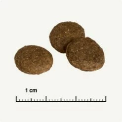 REAL NATURE Country Selection Senior Alpine Truthahn & Alpenrind 12 Kg -FRESSNAPF Geschäfte 753a4bdf08271c904717a55ecd12284d07a07842 1325174 de DE 6